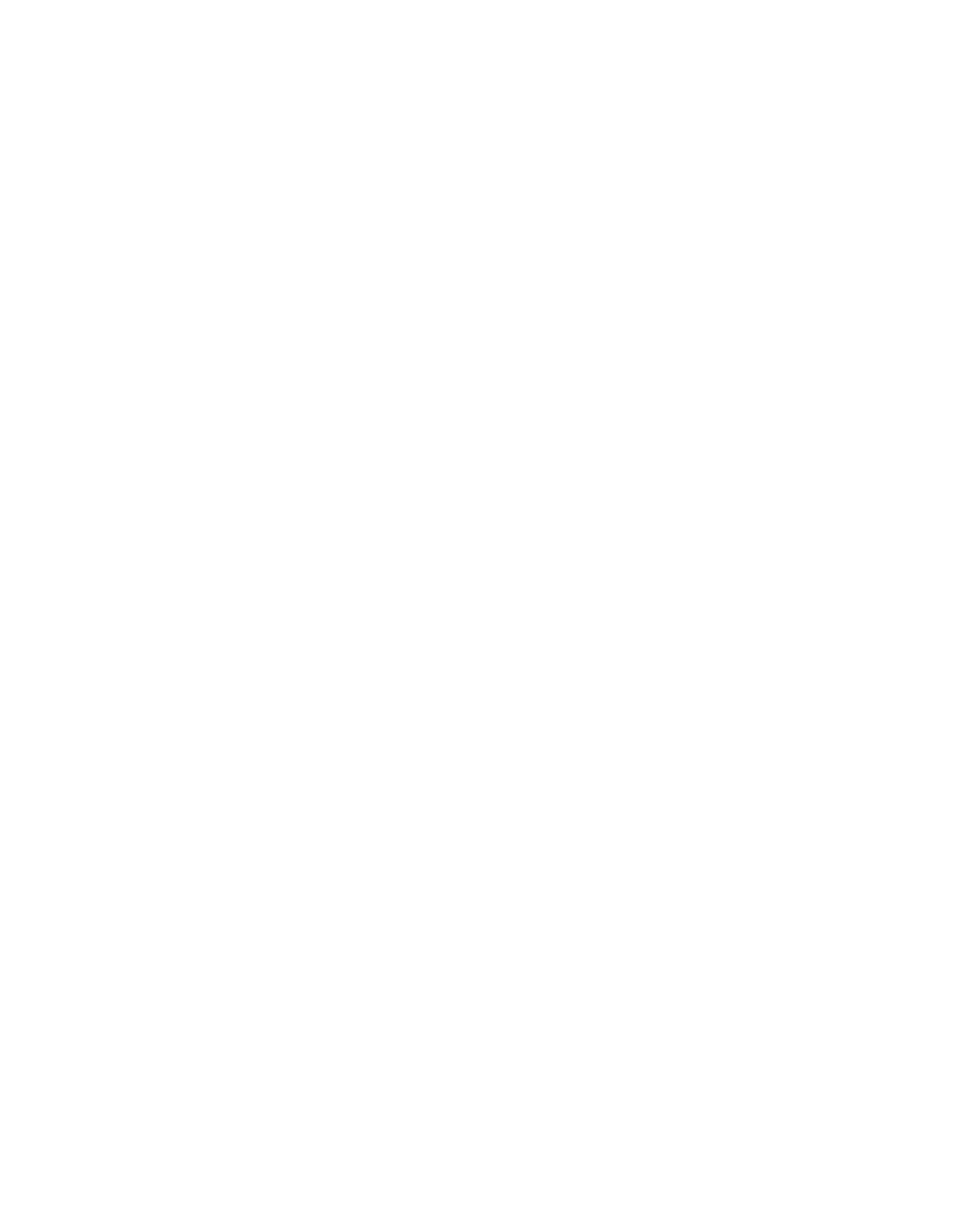 CRATER STAGE: Alaria, DØA, Enrala, Danny Finn, Michi, Moledro, Rous Heven, Tinoko y Tuff Dub